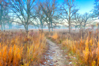 Prairie Path in Autumn