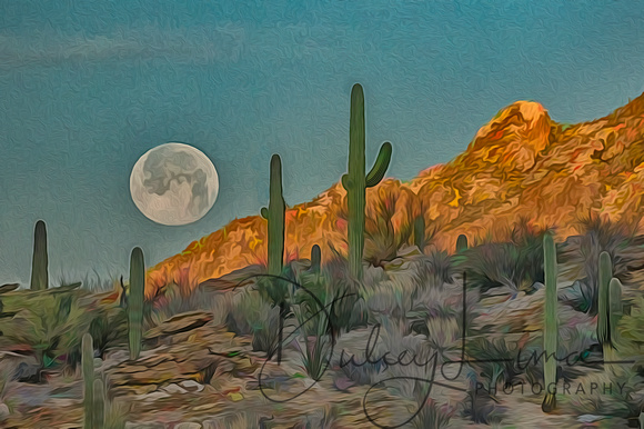 Moonset in the Catalinas
