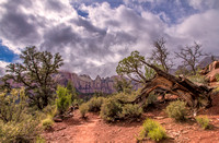 View from the Watchman Trail
