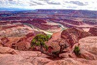 Old Juniper and Dead Horse Point
