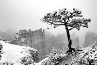 May Snowstorm at Bryce National Park