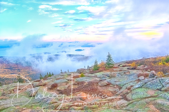 After Sunrise on Cadillac Mountain