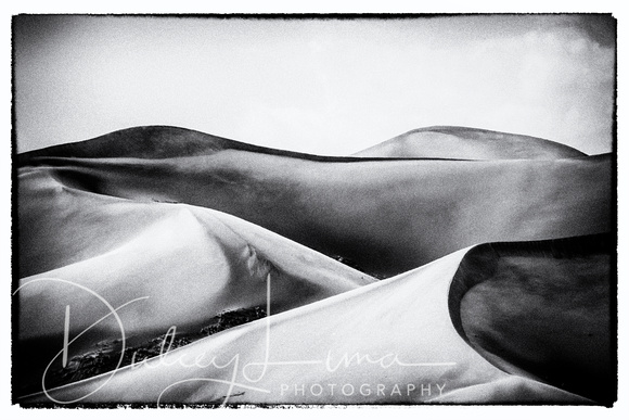 Great Sand Dunes in Black and White