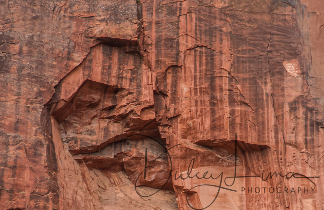Sheer Rock Cuts in Sandstone at Zion National Park