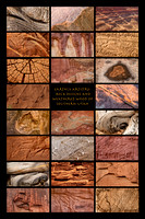 Earthly Artistry:  Rock Designs and Weathered Wood of Southern Utah