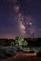 Milky Way Over the Desert