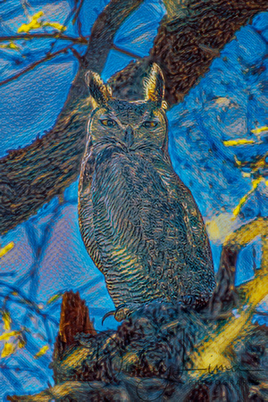 Great Horned Owl in the Gloaming